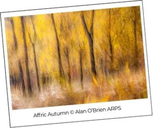  162 print exhibition a5 flyer v7 (2)