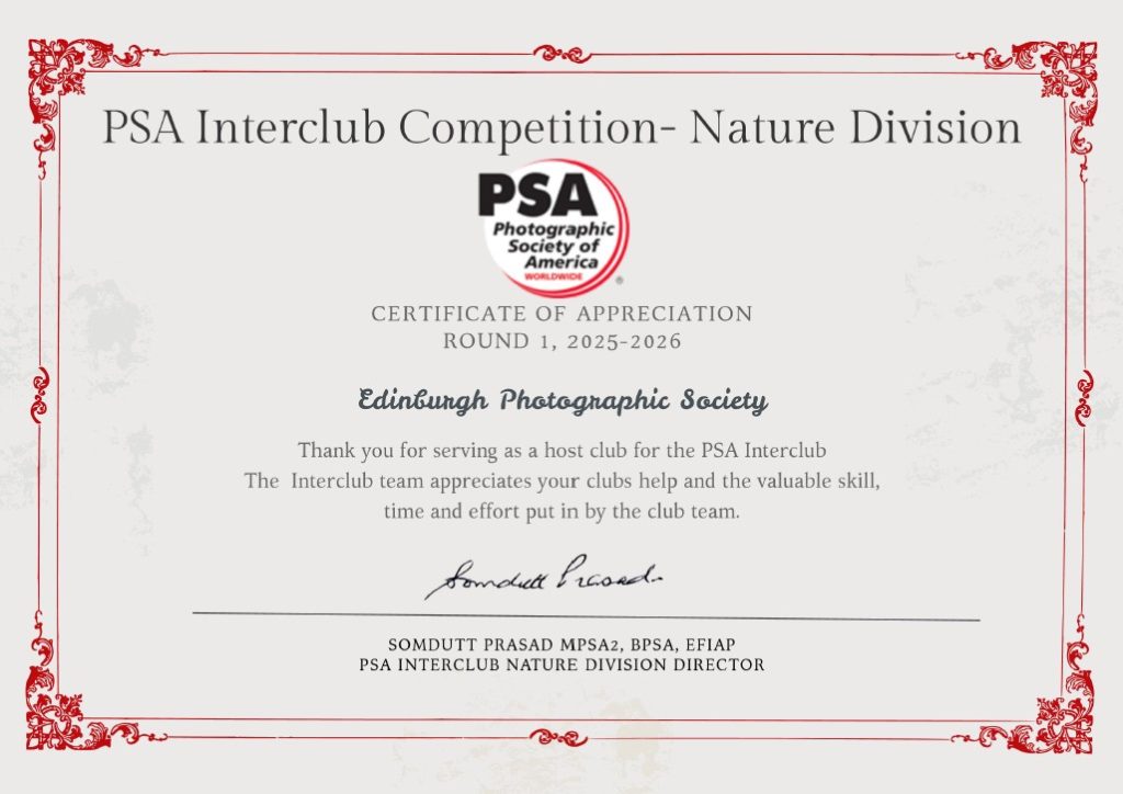 psa interclub competition round 1 2025 2026 eps