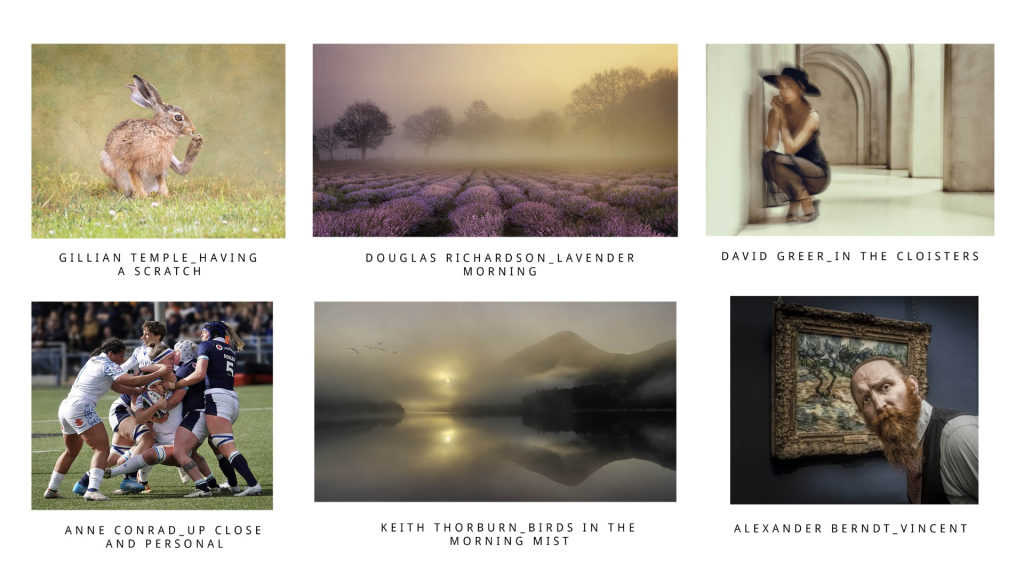 psa round 1 colour 2025