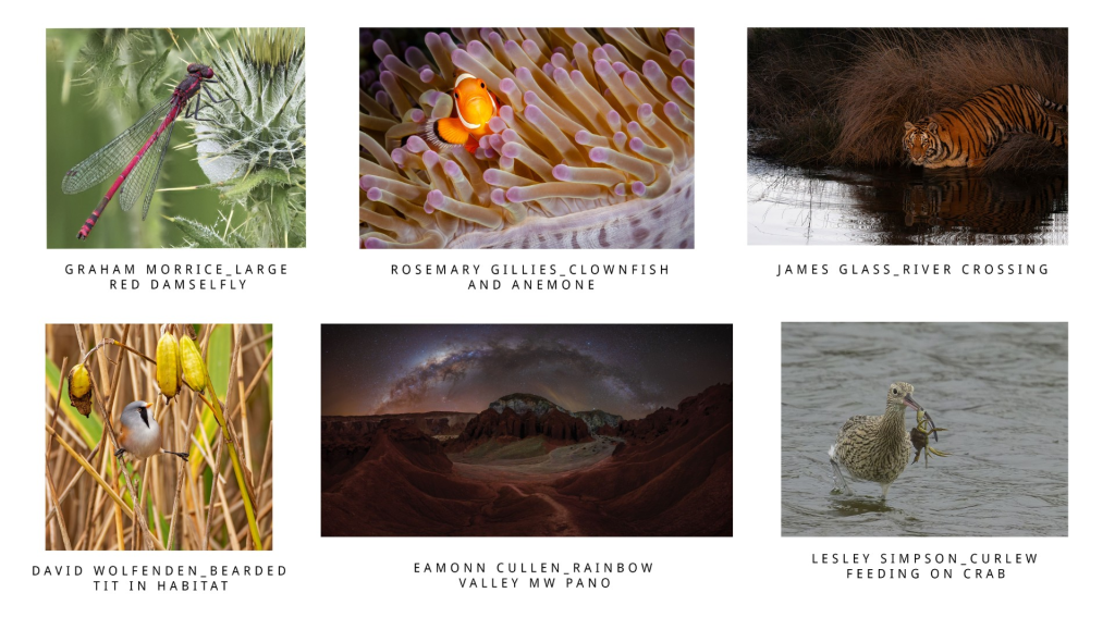 psa round 1 nature 2025