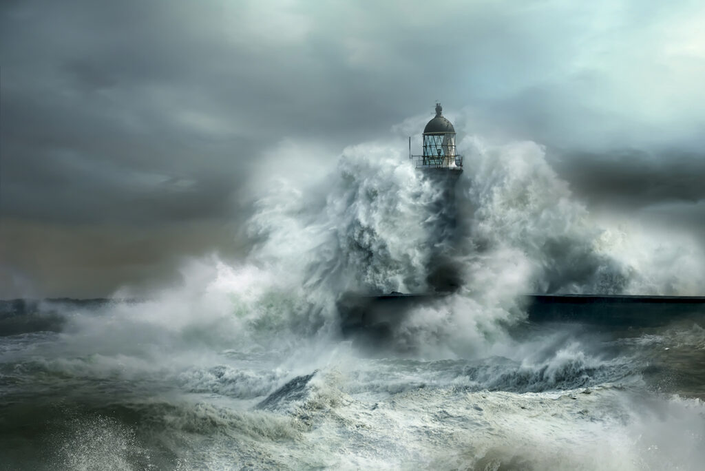 Standing proud (M) © Douglas Richardson